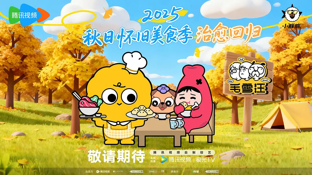 国民综艺造假